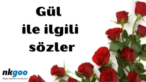 Gül ile ilgili sözler 