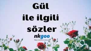 Gül ile ilgili sözler 