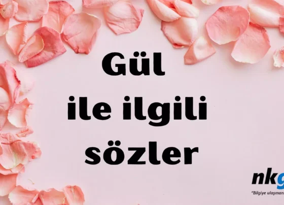 Gül ile ilgili sözler