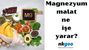 Magnezyum malat ne işe yarar