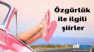 Özgürlük ile ilgili şiirler 5 sınıf (4)