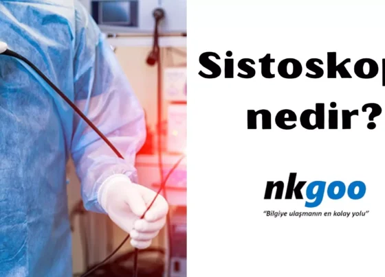 Sistoskopi nedir