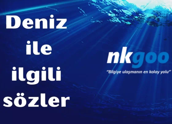 deniz ile ilgili sözler