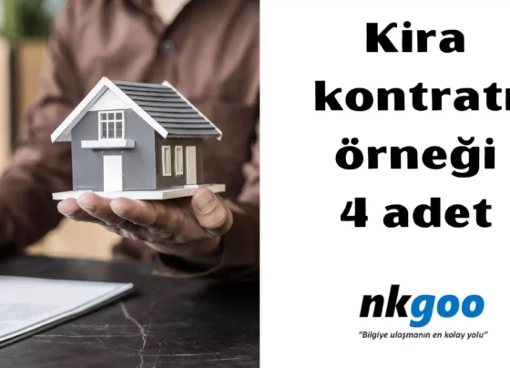 kira kontratı örneği