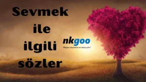 sevmek ile ilgili sözler 