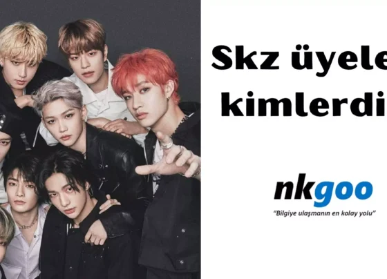 skz üyeleri