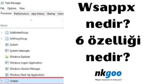 wsappx nedir 