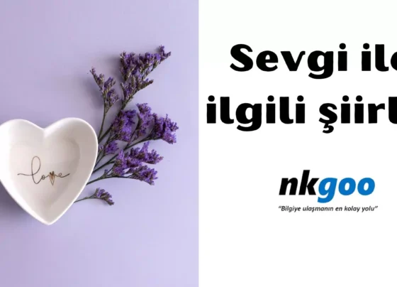 Sevgi ile ilgili şiirler