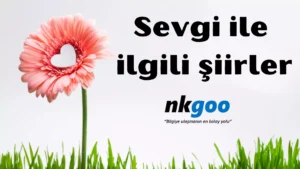 Sevgi ile ilgili şiirler