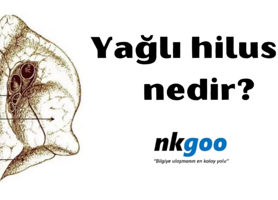 Yağlı hilusu nedir