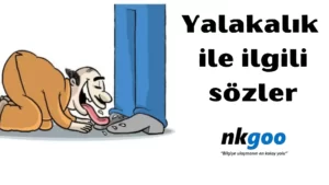 Yalaka ile ilgili sözler 