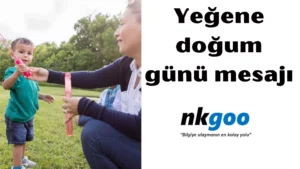 Yeğene doğum günü mesajı 