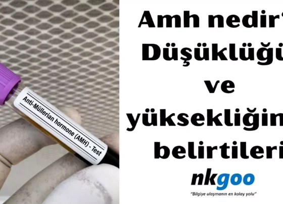 amh nedir