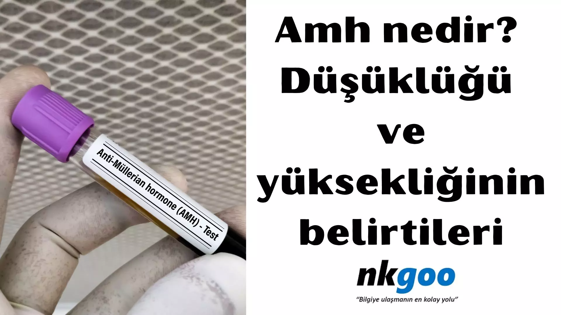 Amh nedir? Amh düşüklüğü belirtileri, 7 belirtisi