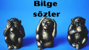 bilge sözler 