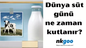 dünya okul süt günü 