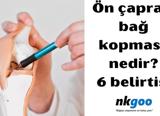 ön çapraz bağ kopması