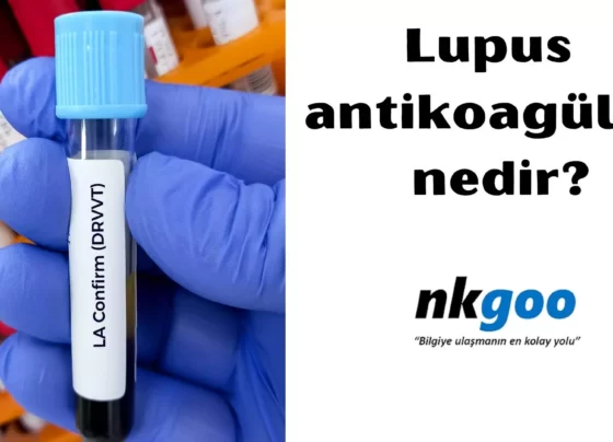 Lupus antikoagülan nedir