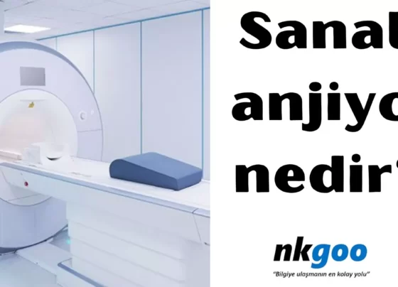 Sanal anjiyo nedir