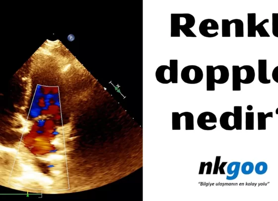 renkli doppler