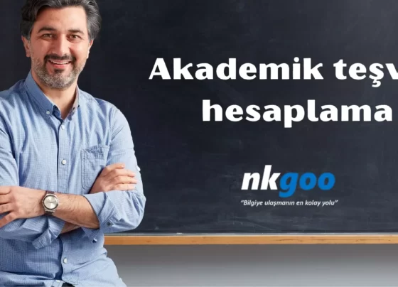 akademik teşvik hesaplama