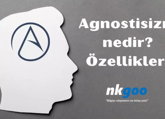 Agnostisizm nedir